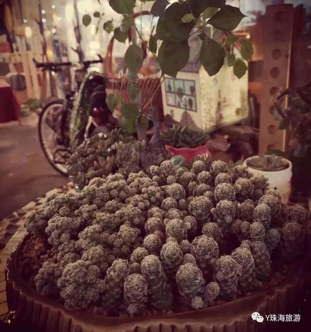 WeChat Image 20211206133118